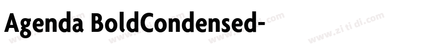 Agenda BoldCondensed字体转换